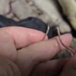 he-paid-700-for-porsche-that-nobody-wanted-this-is (4)