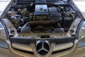 Mercedes-LPG-Europegas-(1)