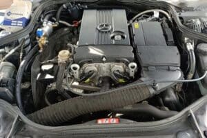 Mercedes-LPG-Europegas-(15)