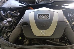 Mercedes-LPG-Europegas-(8)