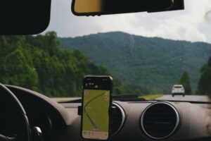 google maps forest stranded 02