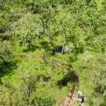 google maps forest stranded