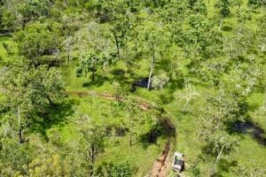 google maps forest stranded