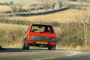 tolman engineering peugeot 205 gti 098
