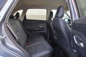 MG ZS Max Hybrid+ (18)