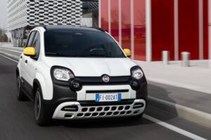 fiat_pandina