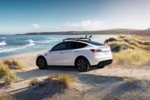 tesla-claims-the-model-y-is-on-track-to-becoming-t (1)