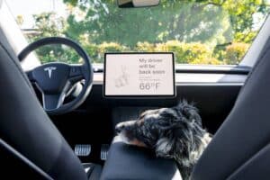 tesla-claims-the-model-y-is-on-track-to-becoming-t (5)