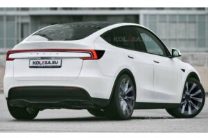 tesla-y-rear1