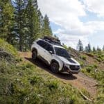 26TDI_FORWpl009-2048x1383