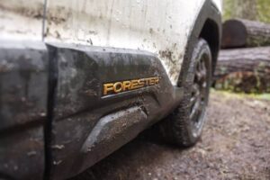 26TDI_FORWpl022-1-2048×1235