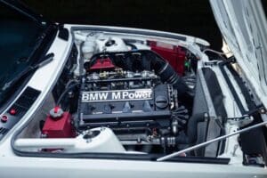 479520493_1166164684897977_9145831809865771507_n