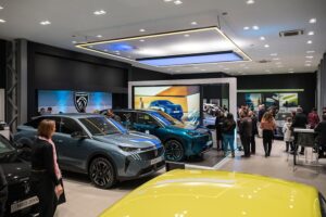 Peugeot-filosidi-(47)