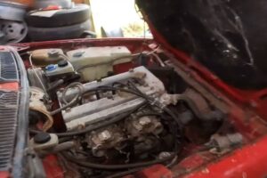 barn-find-hunter-explores-abandoned-farm-finds-hid (11)