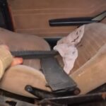 barn-find-hunter-explores-abandoned-farm-finds-hid (4)