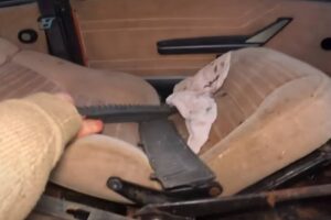 barn-find-hunter-explores-abandoned-farm-finds-hid (4)