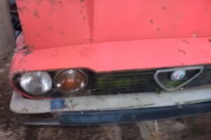 barn-find-hunter-explores-abandoned-farm-finds-hid (5)