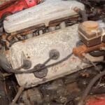 barn-find-hunter-explores-abandoned-farm-finds-hid (7)