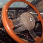 barn-find-hunter-explores-abandoned-farm-finds-hid (9)