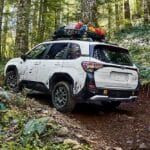 subaru forester wilderness