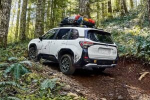 subaru forester wilderness