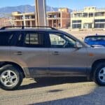 Hyundai-Santa-Fe-2002-used-(10)