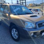 Hyundai-Santa-Fe-2002-used-(11)