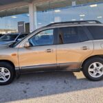 Hyundai-Santa-Fe-2002-used-(9)
