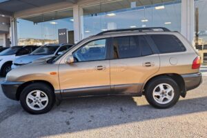 Hyundai-Santa-Fe-2002-used-(9)