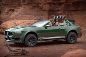 Loder1899-Thomas-Crown-Mustang-310-1