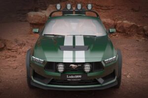 Loder1899-Thomas-Crown-Mustang-310-4