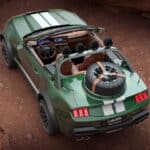 Loder1899-Thomas-Crown-Mustang-310-5