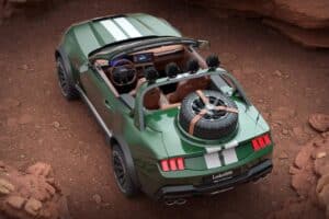 Loder1899-Thomas-Crown-Mustang-310-5