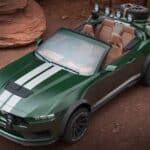 Loder1899-Thomas-Crown-Mustang-310-6