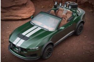 Loder1899-Thomas-Crown-Mustang-310-6