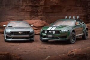 Loder1899-Thomas-Crown-Mustang-310-7