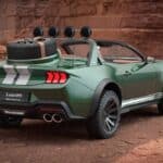 Loder1899-Thomas-Crown-Mustang-310-9