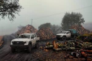 2026-Ford-Ranger-Super-Duty-18-2048×1536