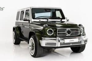 Carlex-Vintage-G-Fern-41-2048×1366