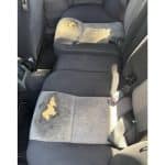 1989_alfa-romeo_milano-verde_img_0948-27520