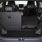 BYD DOLPHIN SURF_INTERIOR (7)