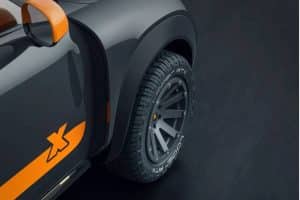 Mini-Countryman-Dakar-by-X-Raid-and-Delta-4×4-10-2