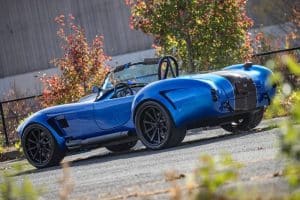 this-is-going-to-cause-a-major-ruckus-shelby-cobra (3)