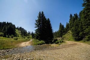 Car-Center_Acropolis-Rally-2025_Αναγνωρίσεις-Διαδρομών_3