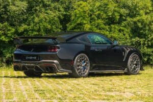 CS800DH Mustang (3) (1)