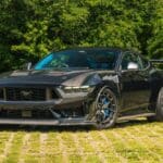 CS800DH Mustang (4) (1)