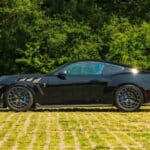 CS800DH Mustang (5) (1)