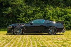 CS800DH Mustang (5) (1)