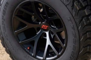 DSC00477-Enhanced-NR (1)