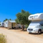 troxospita parkarisma